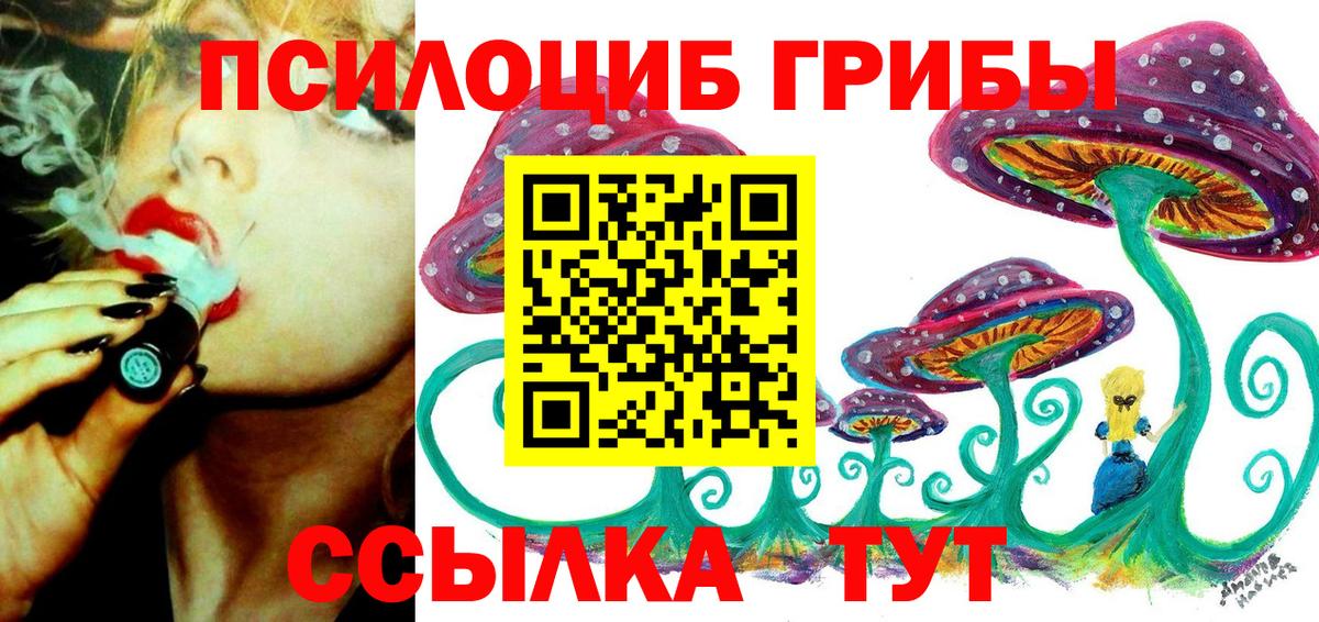 Псилоцибиновые грибы GOLDEN TEACHER Пенза